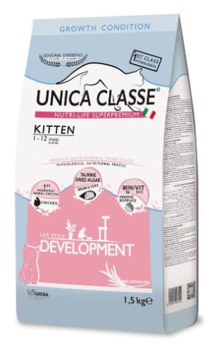 unica-classe-kitten-development-dlya-kotyat-kurica